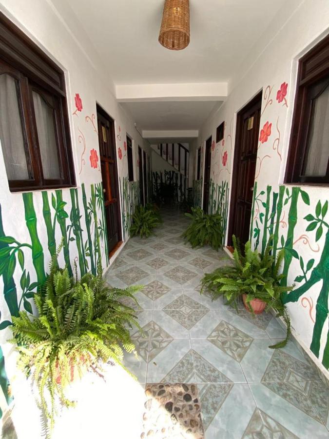 Chaak Hostel Puerto Escondido  Luaran gambar