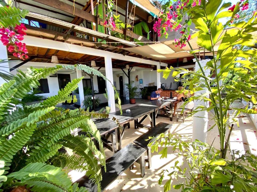 Chaak Hostel Puerto Escondido  Luaran gambar